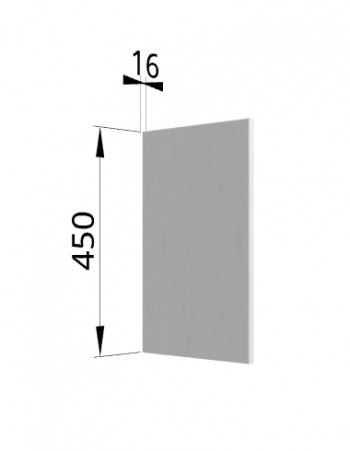 Панель торцевая (для шкафа горизонтального высокого) ВПГ Ройс (Графит софт) в Новомихайловке - novomihajlovka.mebel54.com | фото